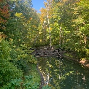 Meet your Posher, Kait